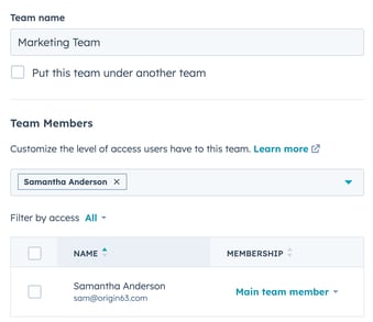 Understanding CRM with HubSpot Service Hub, Structure Teams and Permissions